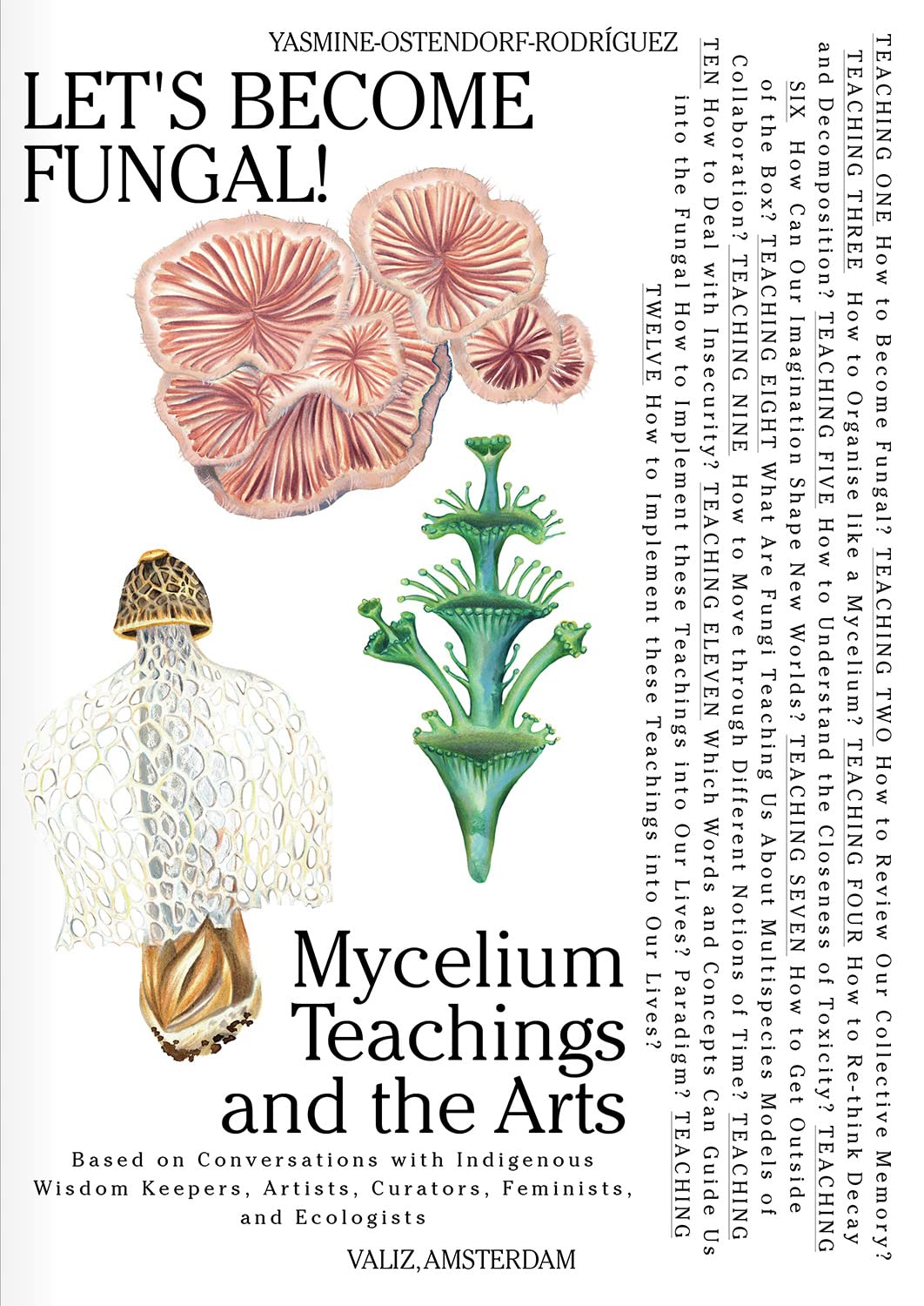 mycelium gear Let's Become Fungal!: Mycelium Teachings and the Arts