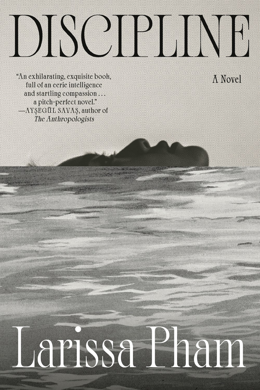 Discipline // A Novel (Pre-order, Jan 20 2026)