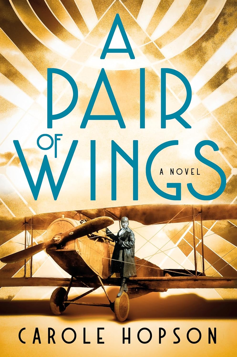 A Pair of Wings // A Novel