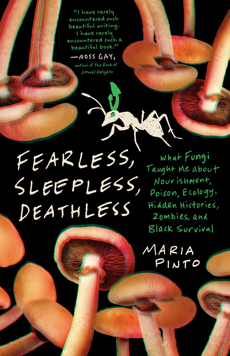 Fearless, Sleepless, Deathless // What Fungi Taught Me about Nourishment, Poison, Ecology, Hidden Histories, Zombies, and Black Survival