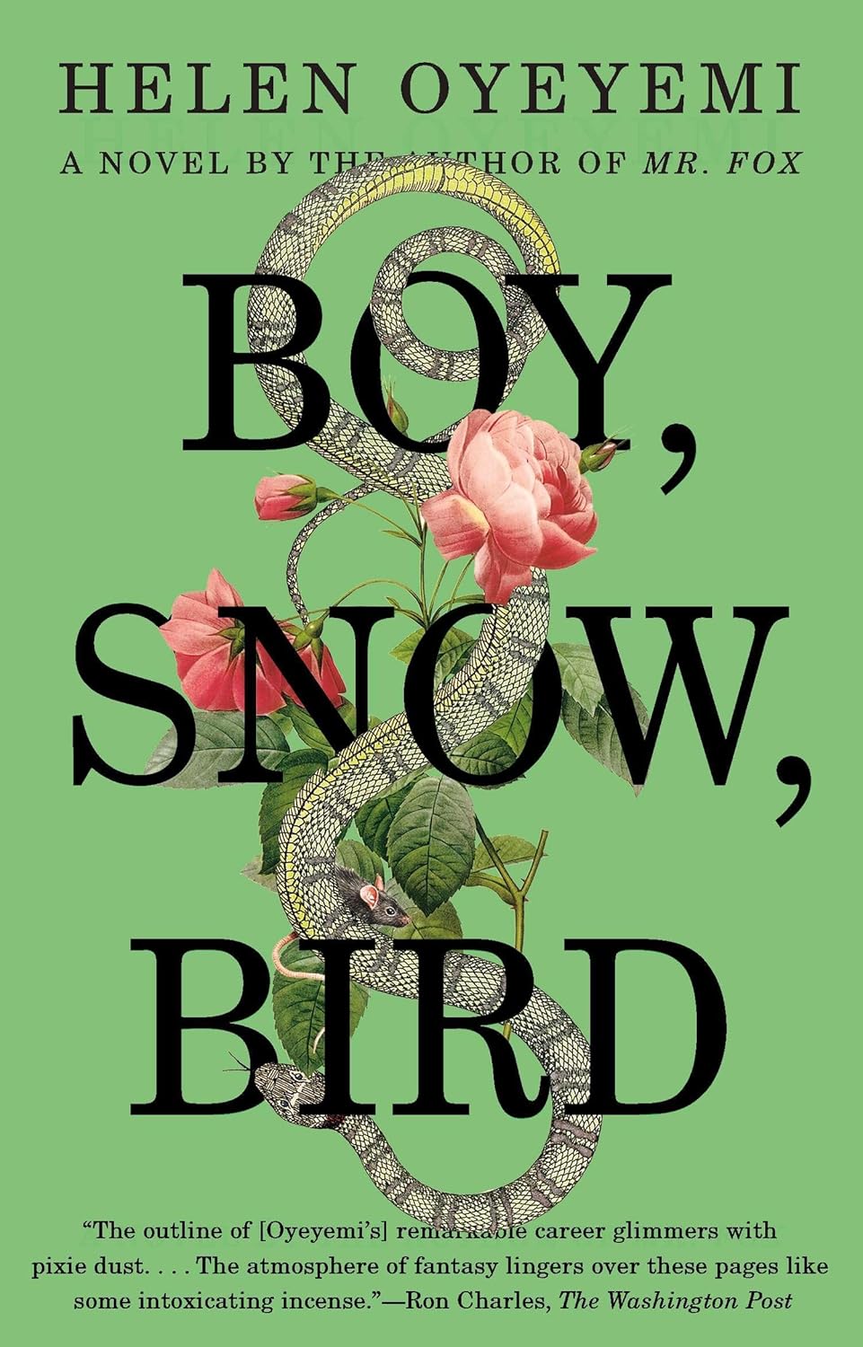 Boy, Snow, Bird // A Novel
