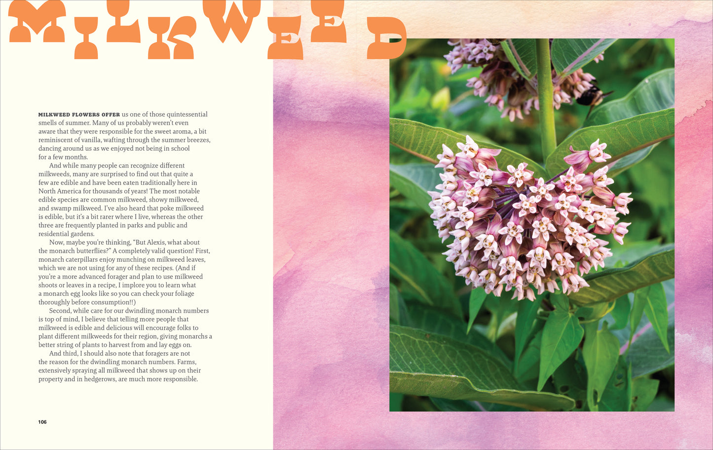 Happy Snacking, Don't Die! // Foraging and Vegan Recipes with Black Forager (A Cookbook) (Pre-order, Sep 22 2026)
