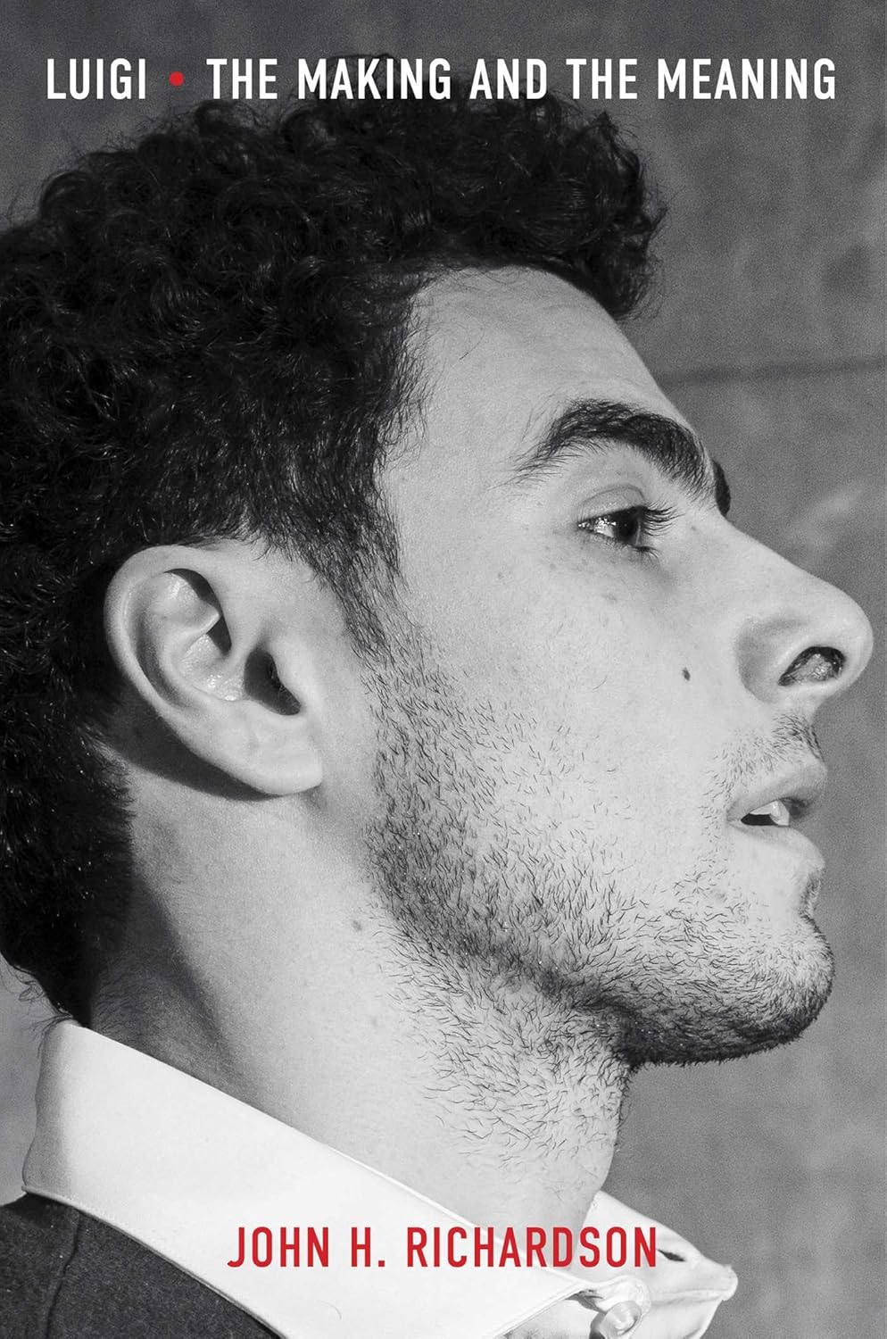 Luigi // The Making and The Meaning