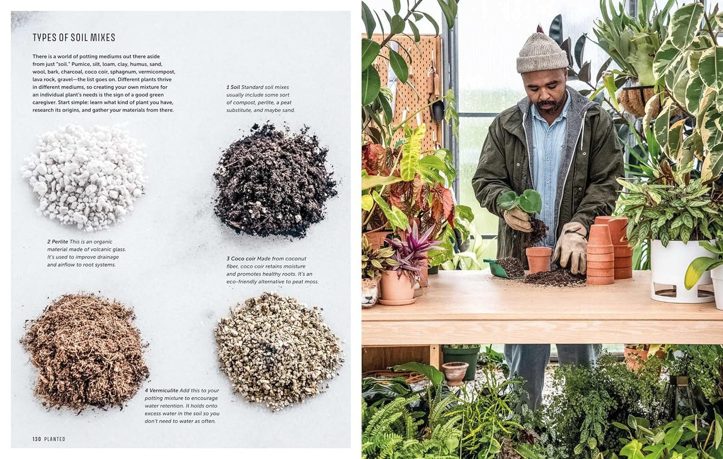 The Propagation Handbook // A Guide to Propagating Houseplants