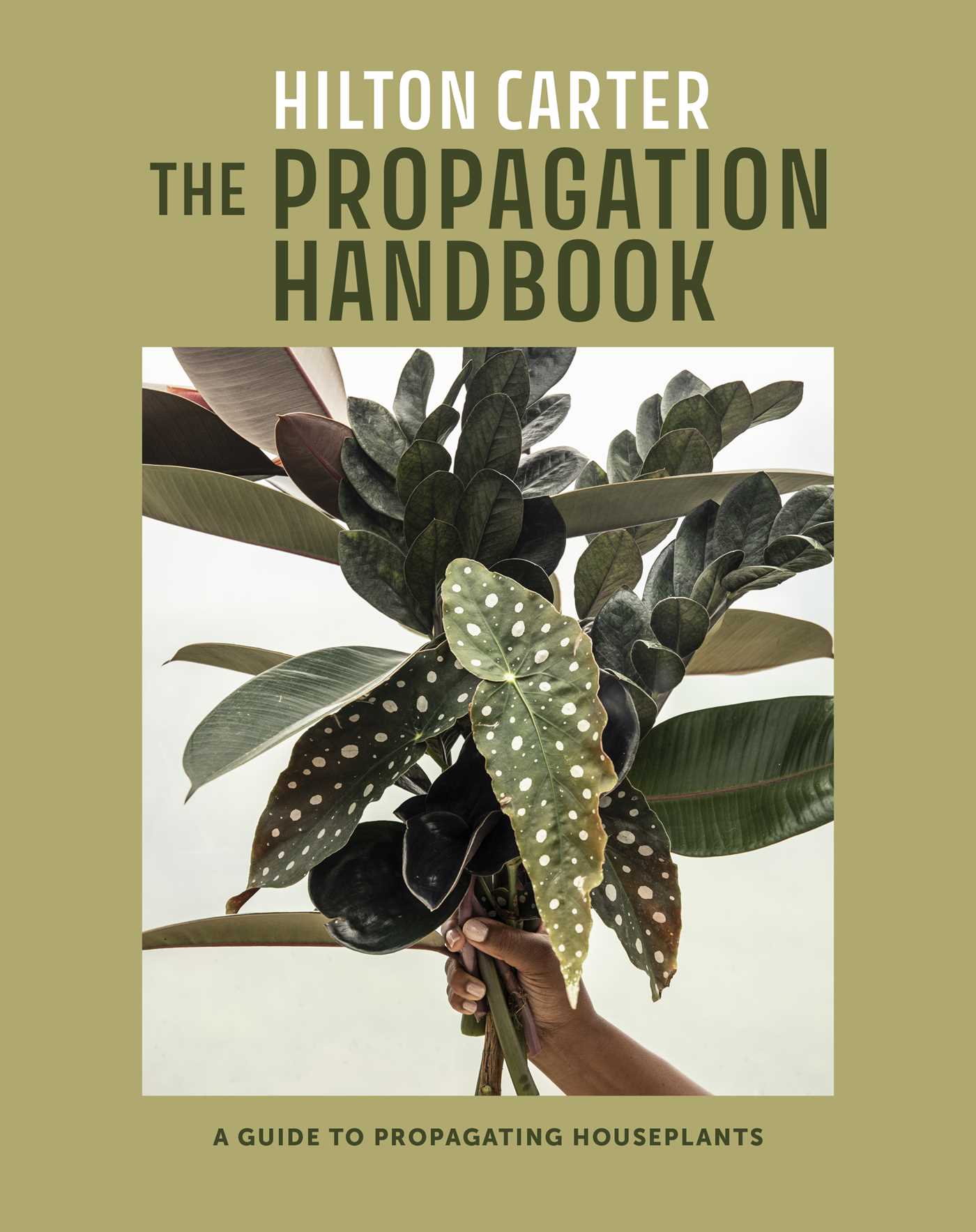 indoor plant guide book The Propagation Handbook (A Guide to Propagating Houseplants)