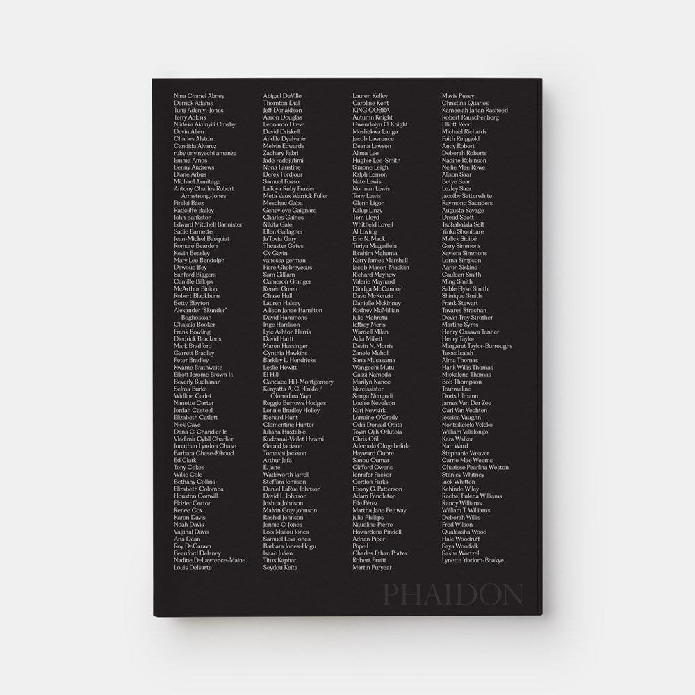 Meaning Matter Memory // Selections from the Studio Museum in Harlem Collection