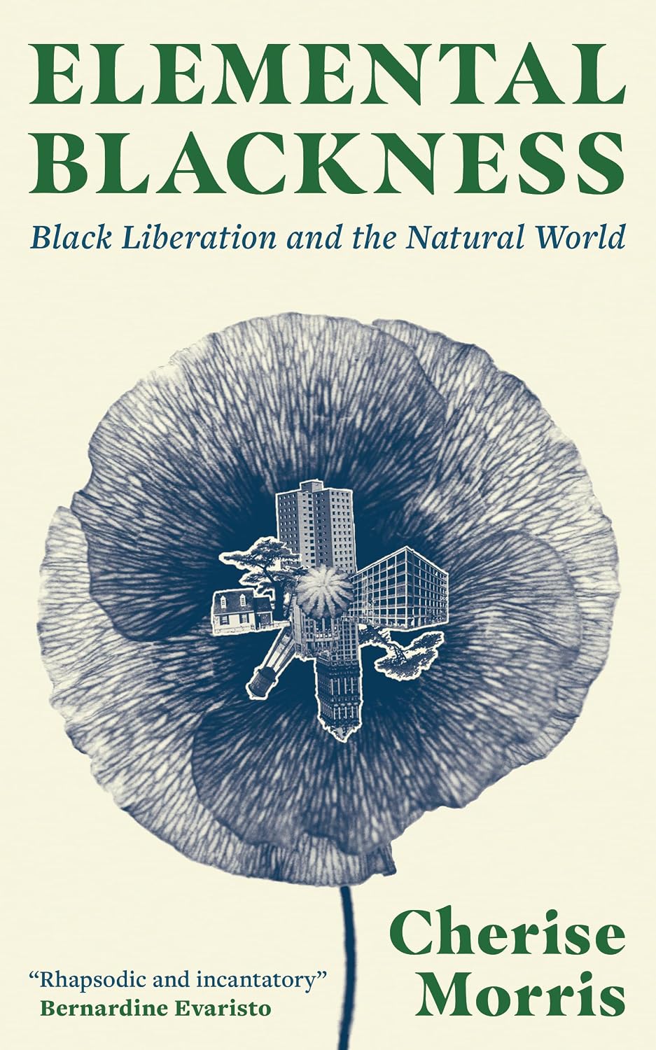Elemental Blackness // Black Liberation and the Natural World (Pre-order, June 1 2027)