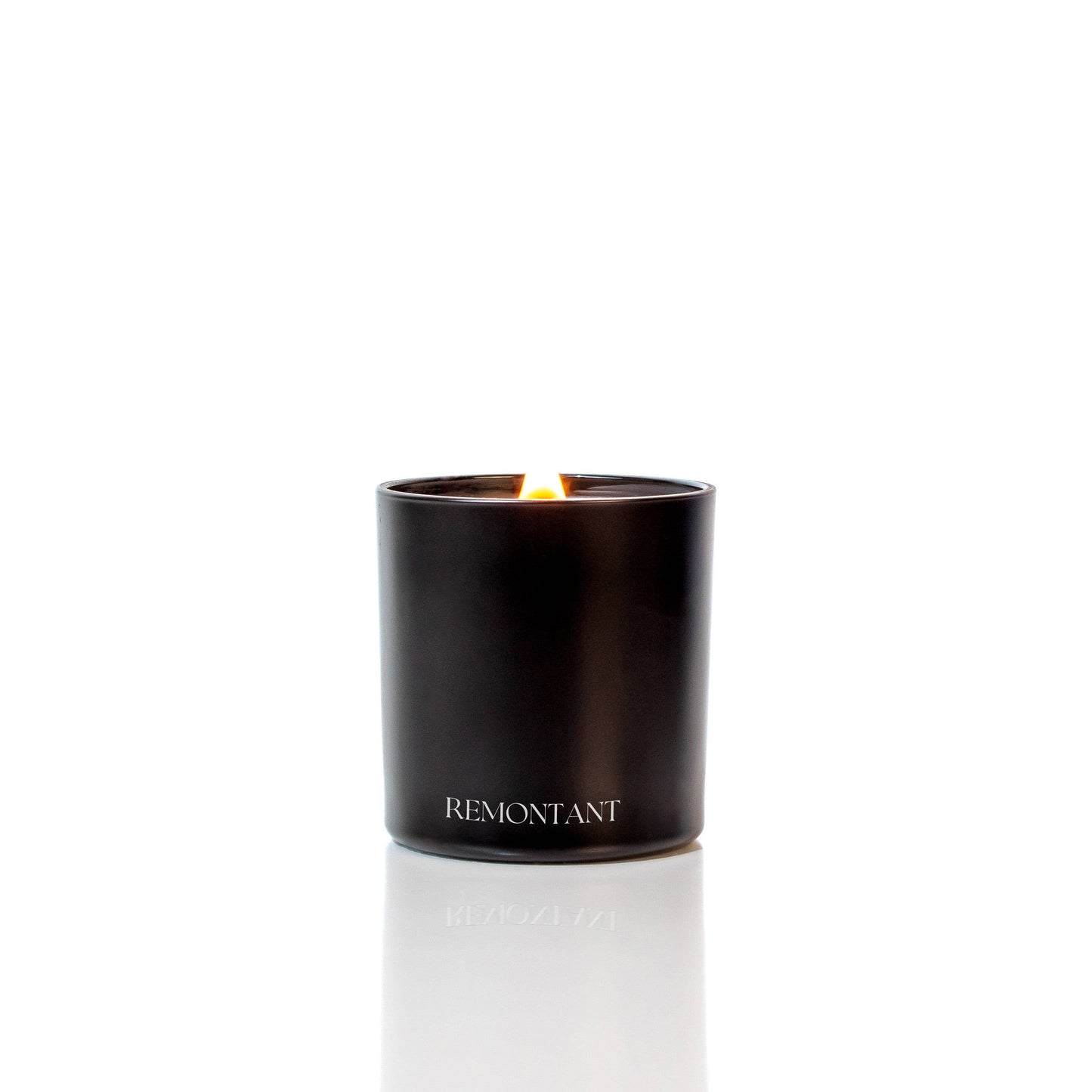 Dark Academia | Cardamom ~ Leather ~ Cedar | Crackling Wick