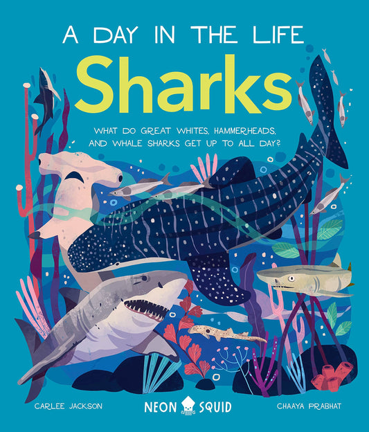 Sharks // What Do Great Whites, Hammerheads, and Whale Sharks Get Up to All Day? (Day in the Life)
