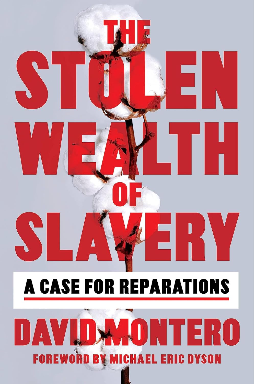 The Stolen Wealth of Slavery // A Case for Reparations
