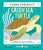 Green Sea Turtle // A First Field Guide to the Ocean Reptile from the Tropics
