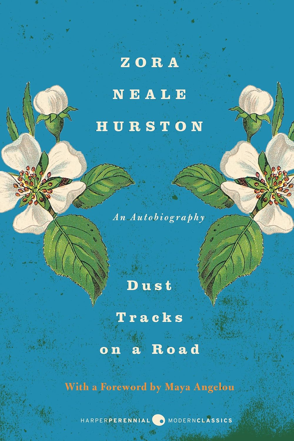 Dust Tracks on a Road // A Memoir (2010)