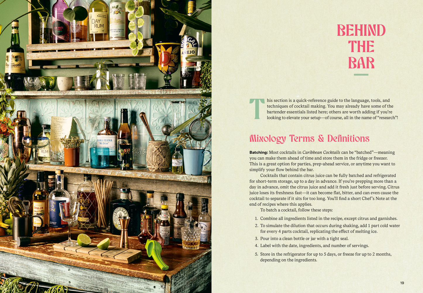 Caribbean Cocktails // Drinks and Bites from the Afro-Latino Diaspora [A Cocktail and Non-Alcoholic Drink Recipe Book] (Pre-order, June 2 2026)