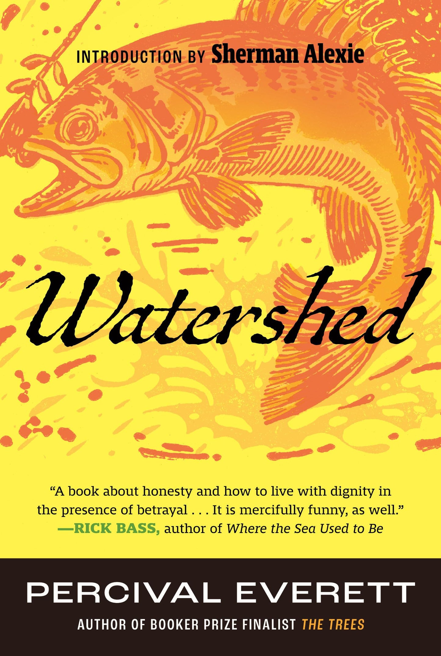 Watershed // (Pre-Order, March 5 2024)