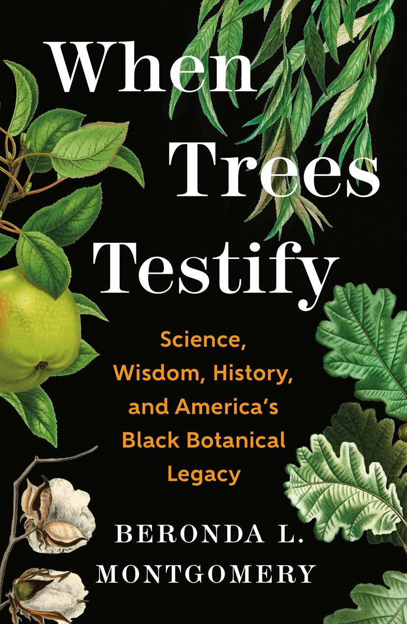 When Trees Testify // Science, Wisdom, History, and America’s Black Botanical Legacy