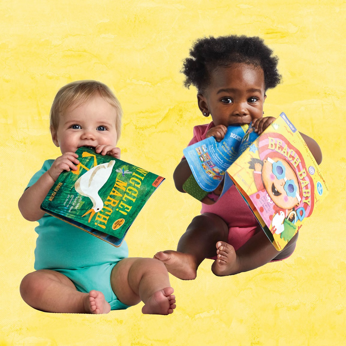 Play in Any Weather // Chew Proof - Rip Proof - Nontoxic - 100% Washable (Indestructibles)