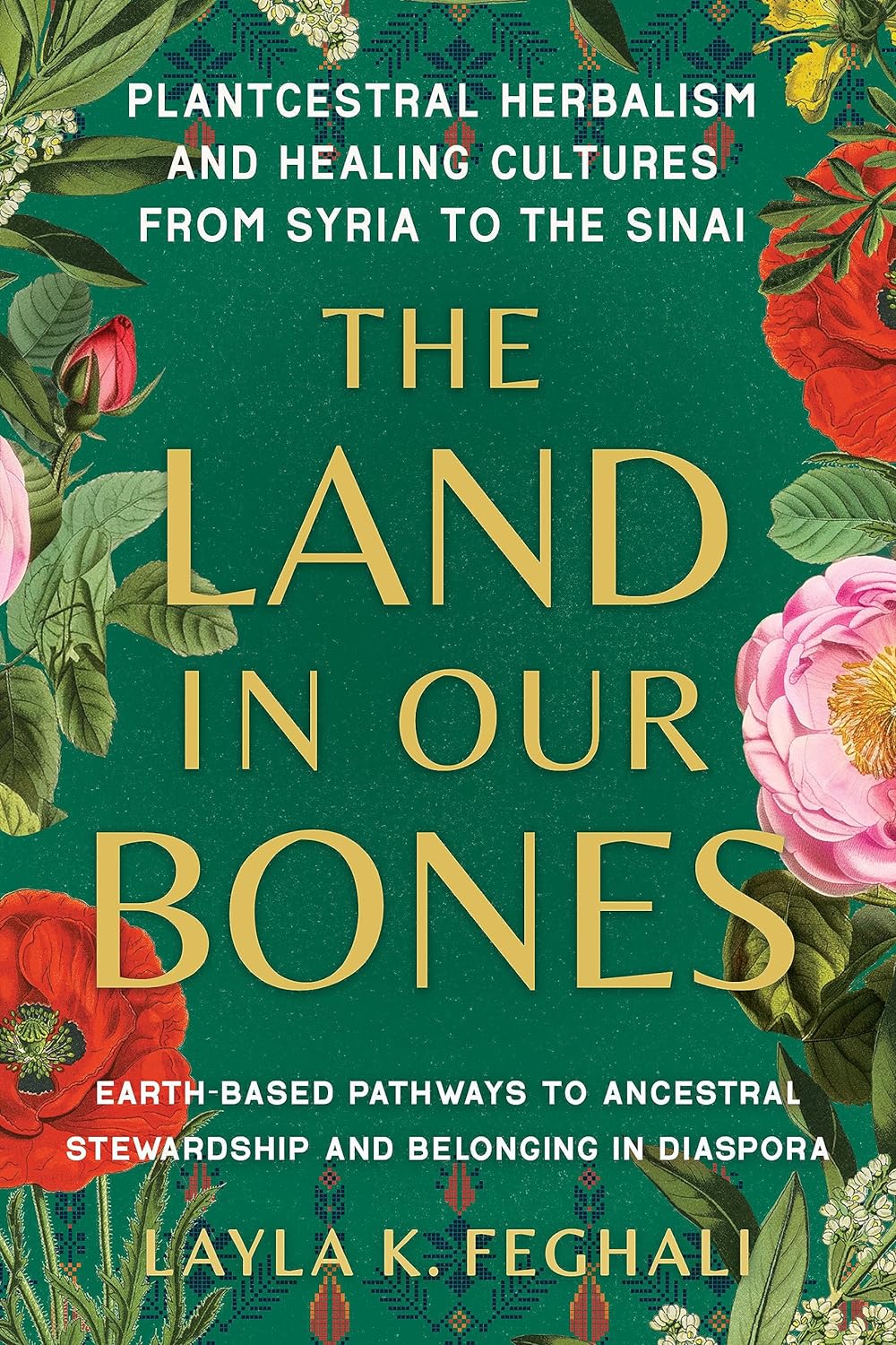 The Land in Our Bones