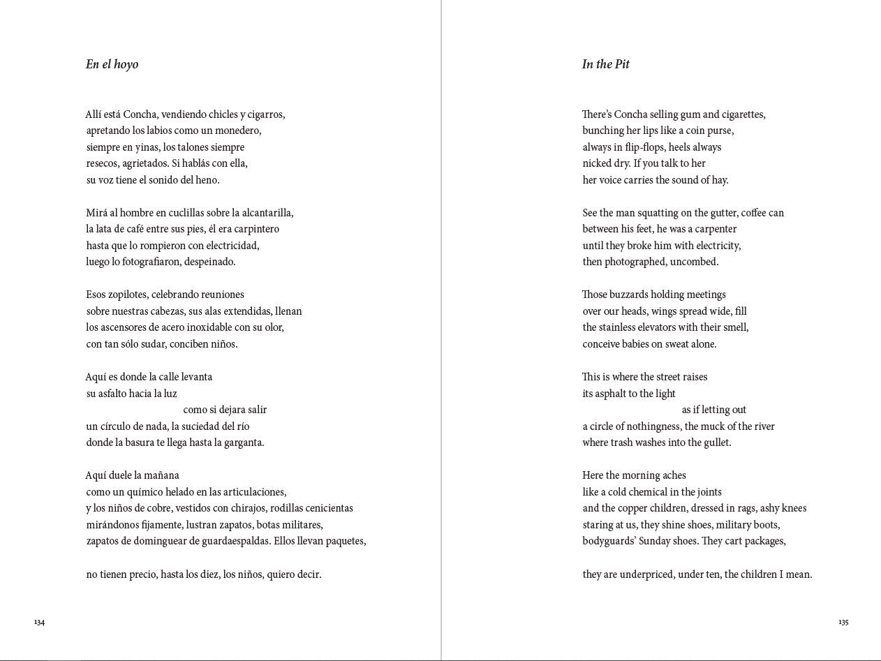 Canícula // Dog Days Poems