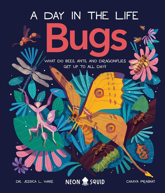 Bugs (a Day in the Life) // What Do Bees, Ants, and Dragonflies Get Up to All Day?