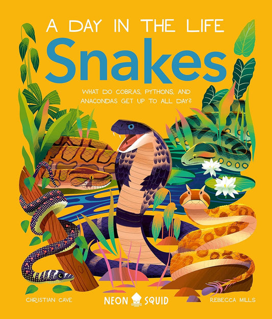Snakes (a Day in the Life) // What Do Cobras, Pythons, and Anacondas Get Up to All Day?