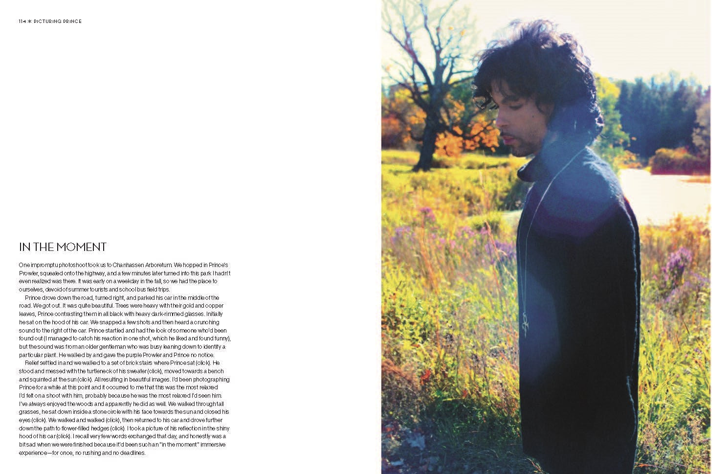 Picturing Prince: An Intimate Portrait A Intimate Portrait