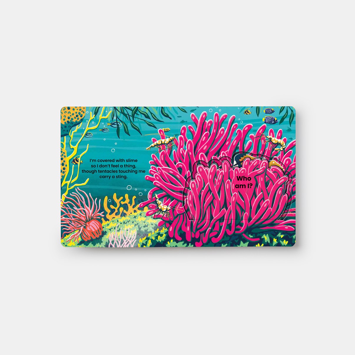 Who's Hiding? Under the Sea // A Lift-The-Flap Book