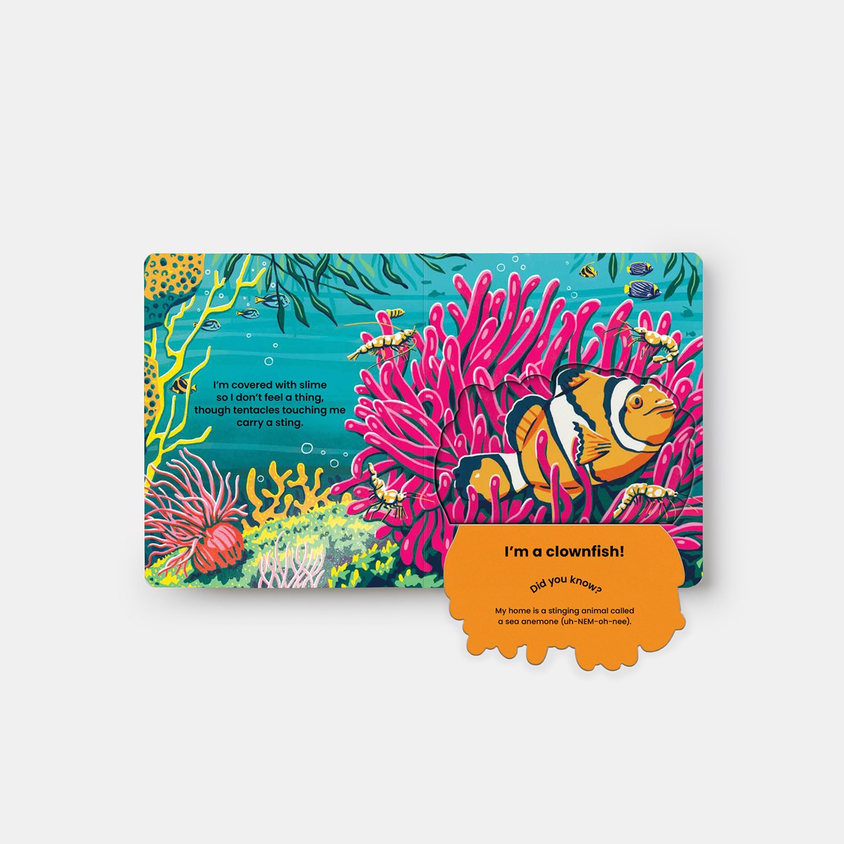 Who's Hiding? Under the Sea // A Lift-The-Flap Book