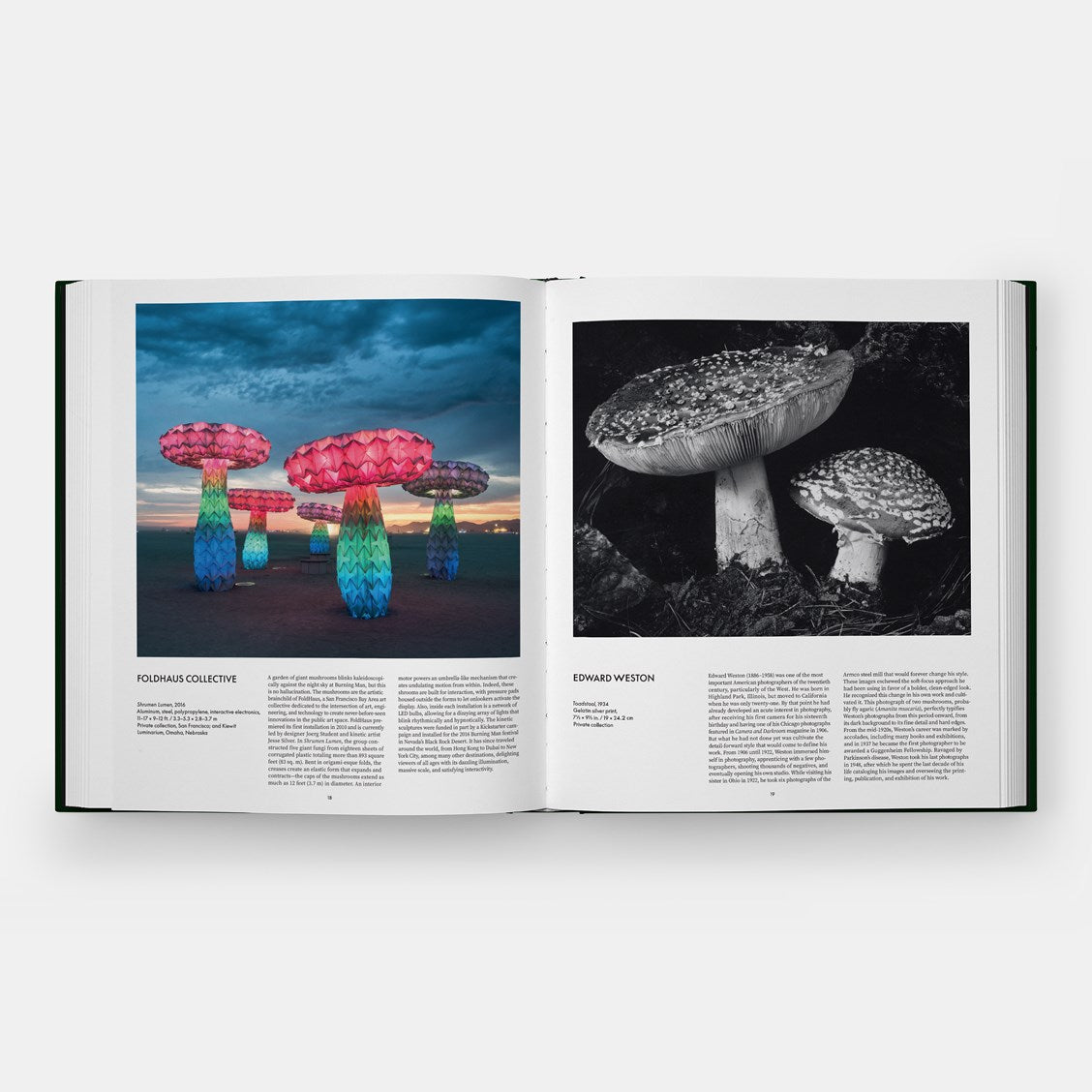 Fungi // The World of Mushrooms (Pre-order, Oct 15 2026)