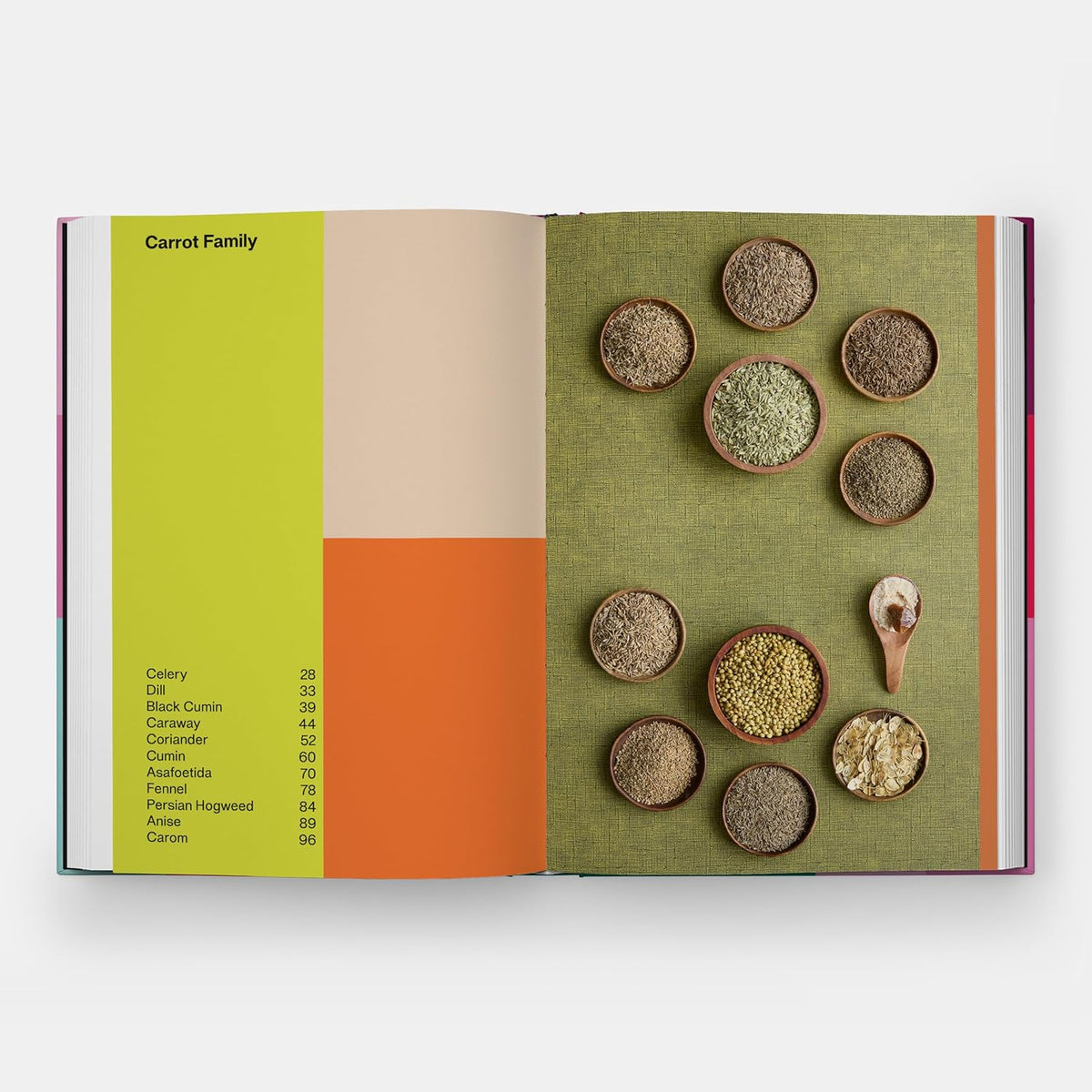 Spiced // Recipes Celebrating Spices from Around the World (Pre-order, Oct 28 2026)