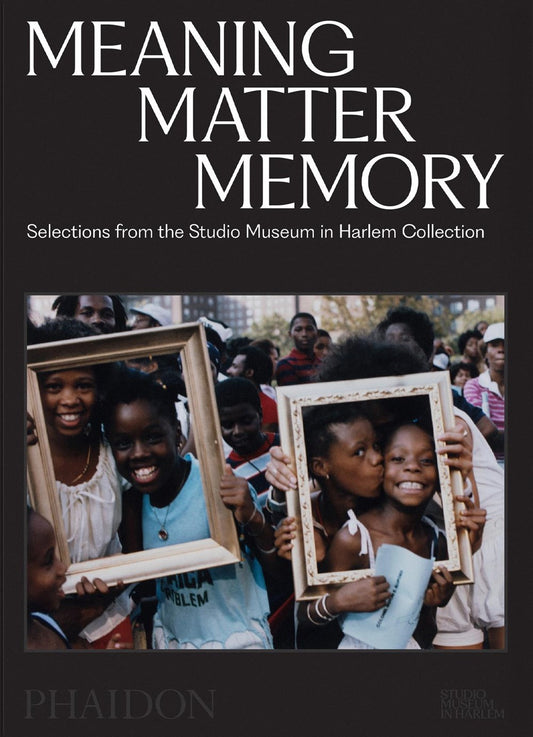 Meaning Matter Memory // Selections from the Studio Museum in Harlem Collection