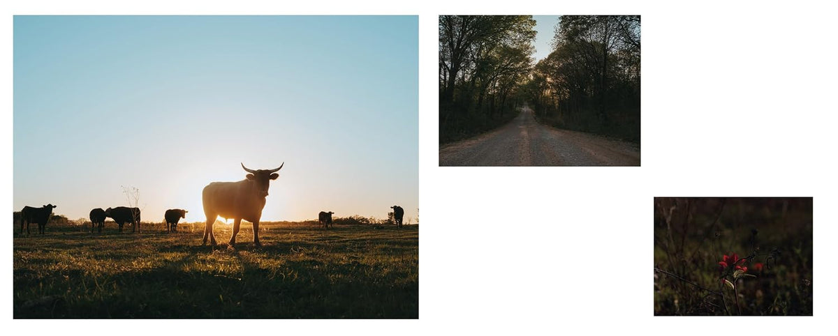 Eight Seconds // Legacy in Motion: Photographs by Ivan McClellan