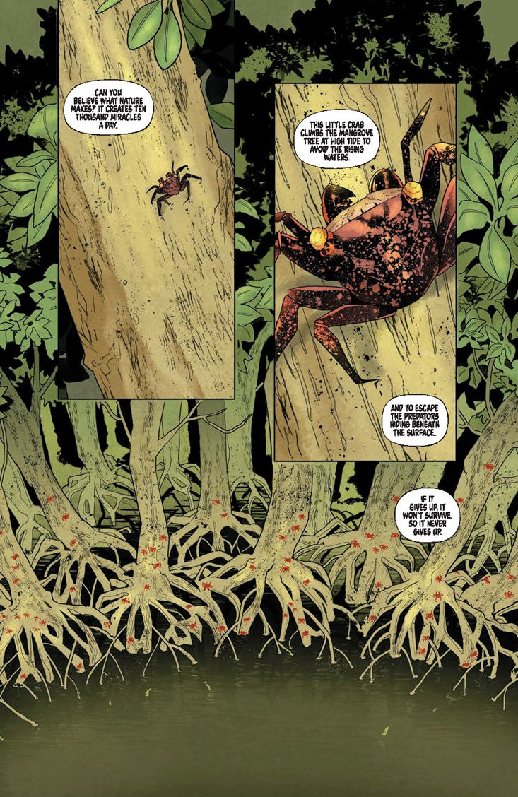 Eve // Compact Comics (Pre-order,  Feb 23 2027)