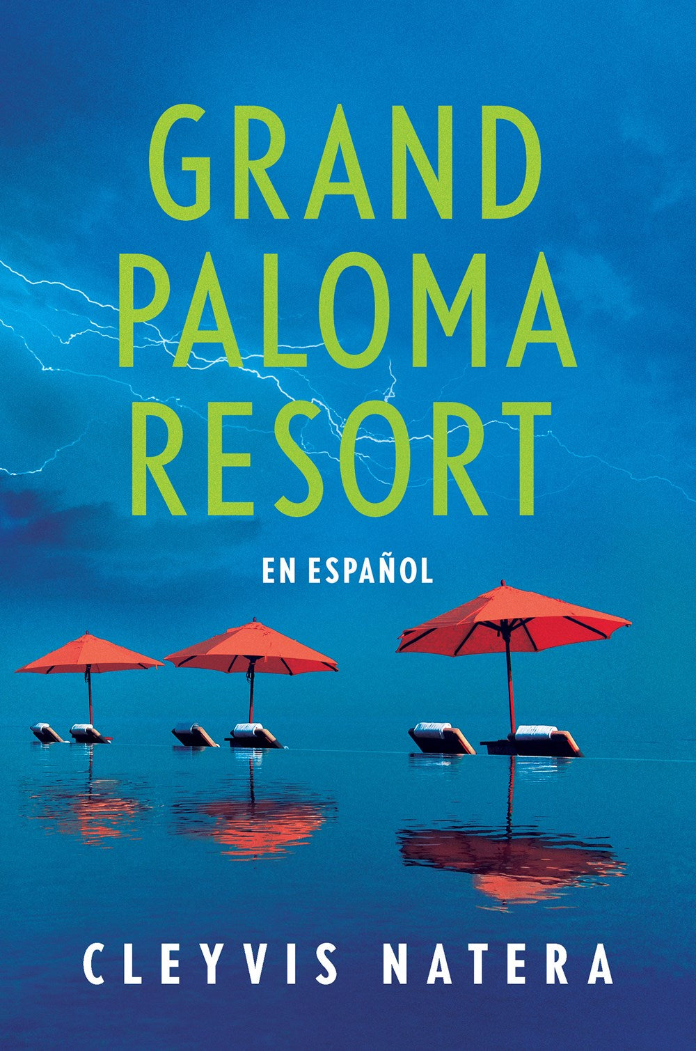 The Grand Paloma Resort // A Novel