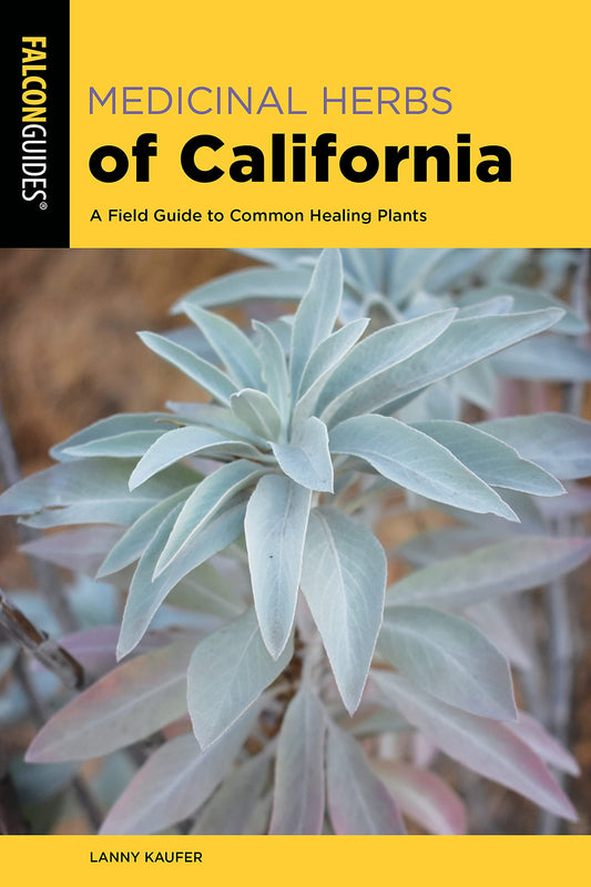 Medicinal Herbs of California // A Field Guide to Common Healing Plants