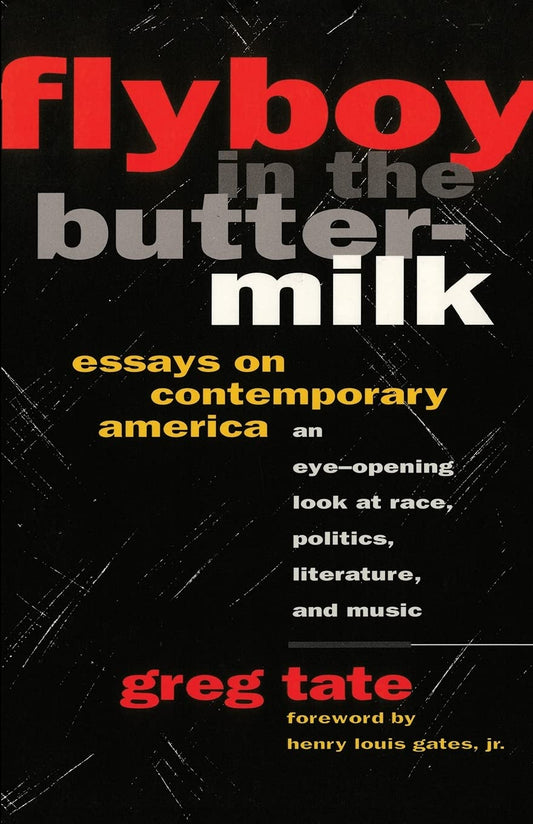Flyboy in the Buttermilk // Essays on Contemporary America