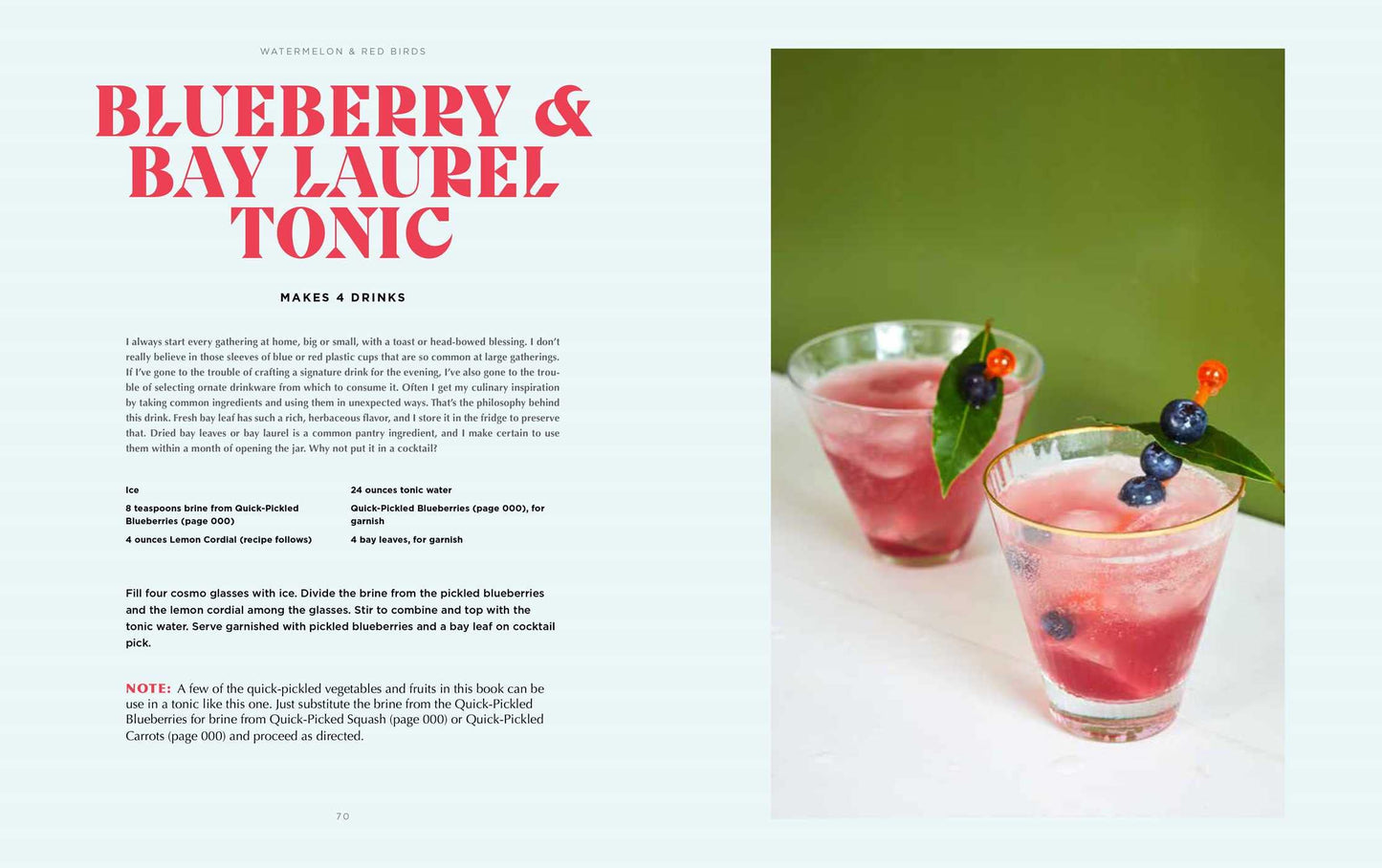 Watermelon and Red Birds // A Cookbook for Juneteenth and Black Celebrations