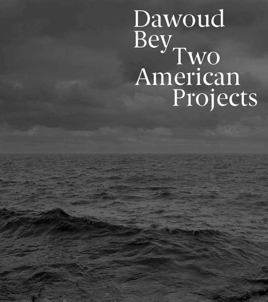 Dawoud Bey // Two American Projects