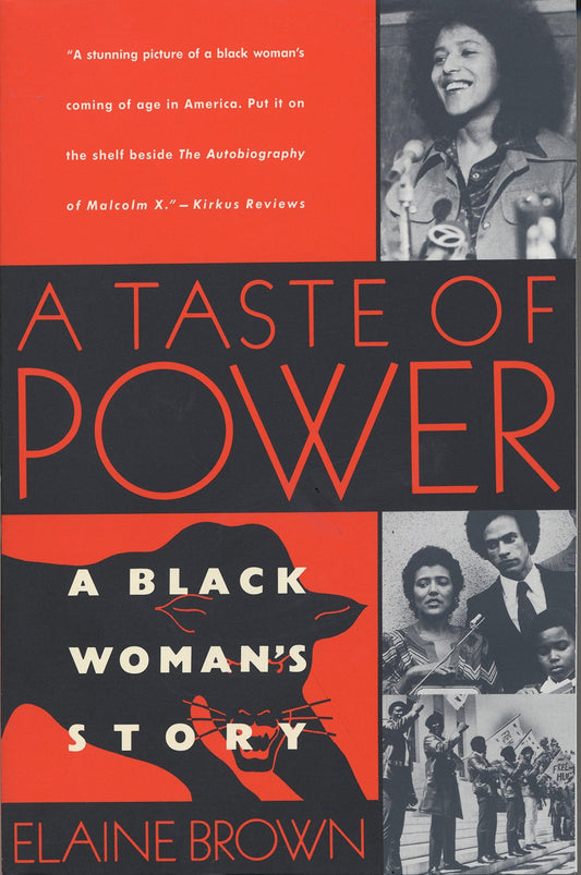 A Taste of Power // A Black Woman's Story