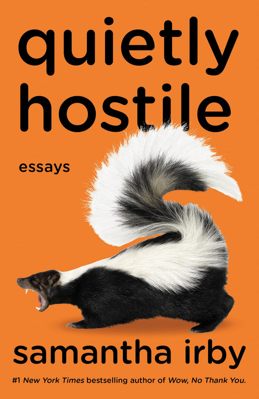 Quietly Hostile // Essays