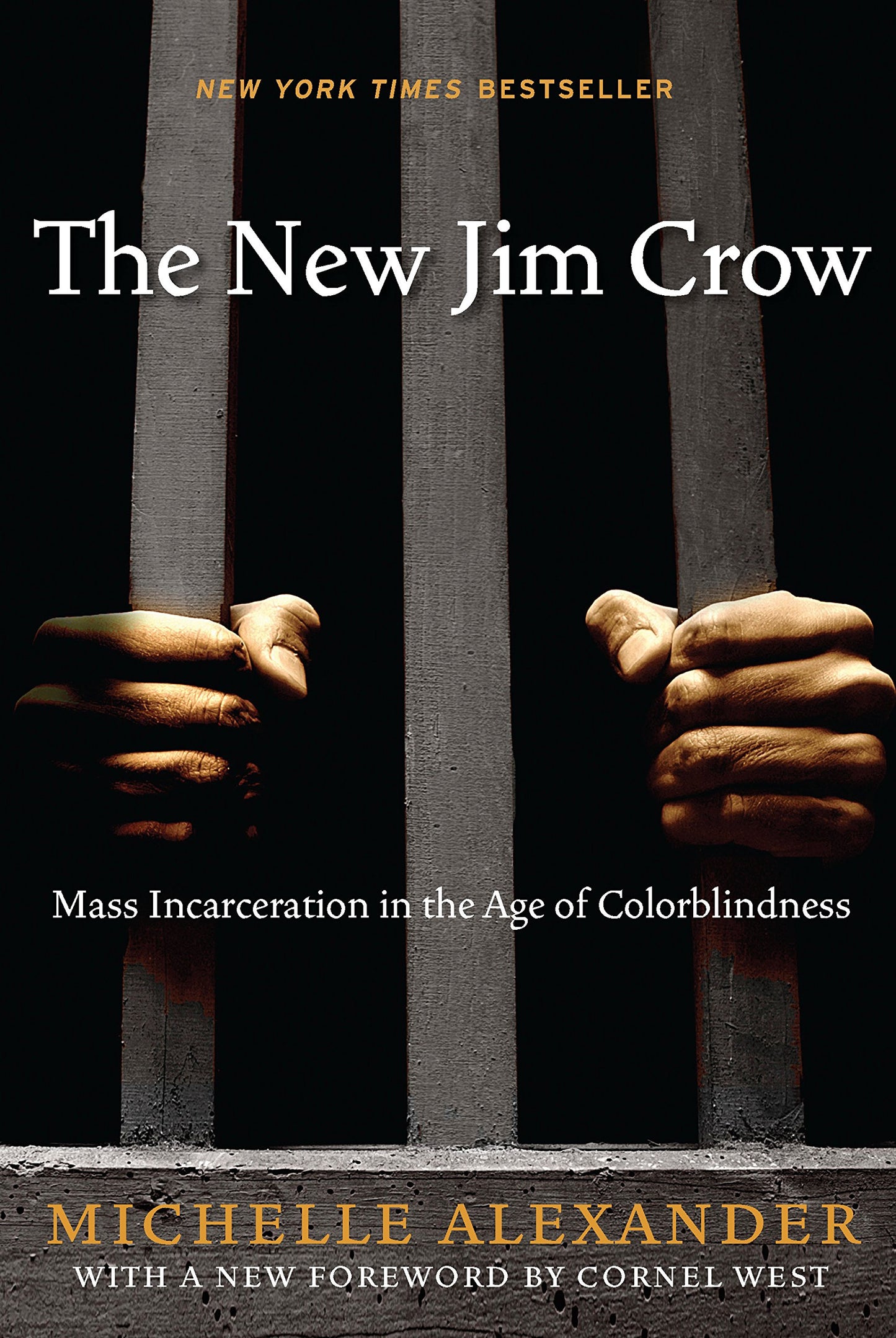The New Jim Crow // Mass Incarceration in the Age of Colorblindness