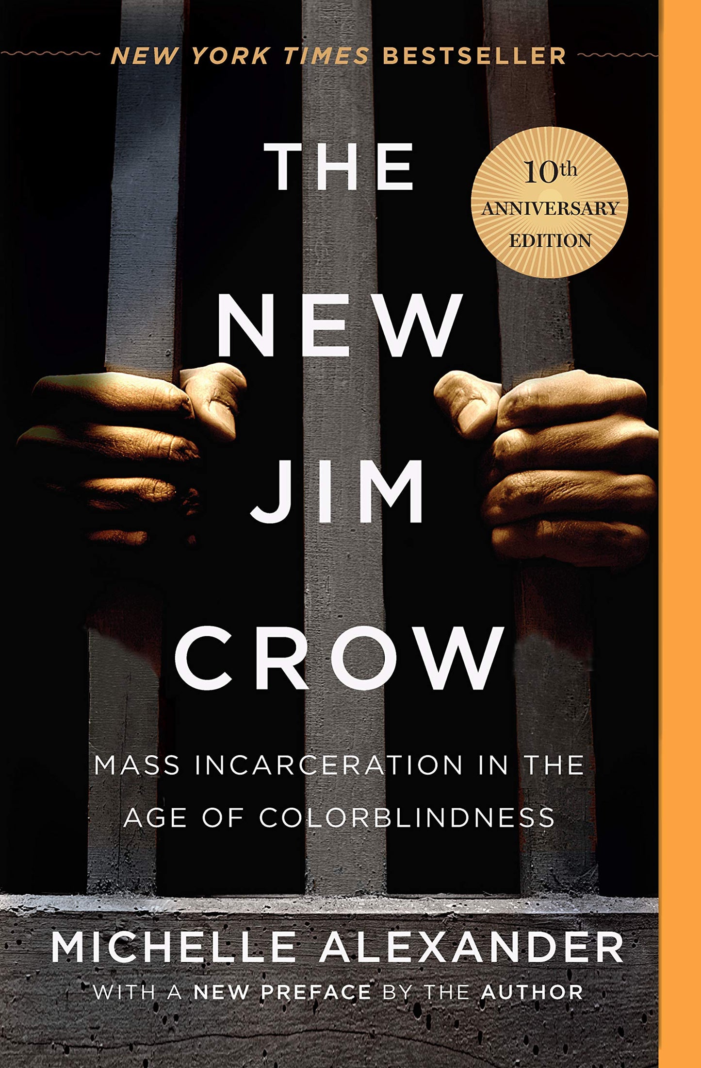 The New Jim Crow // Mass Incarceration in the Age of Colorblindness