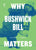 Why Bushwick Bill Matters // (Music Matters)